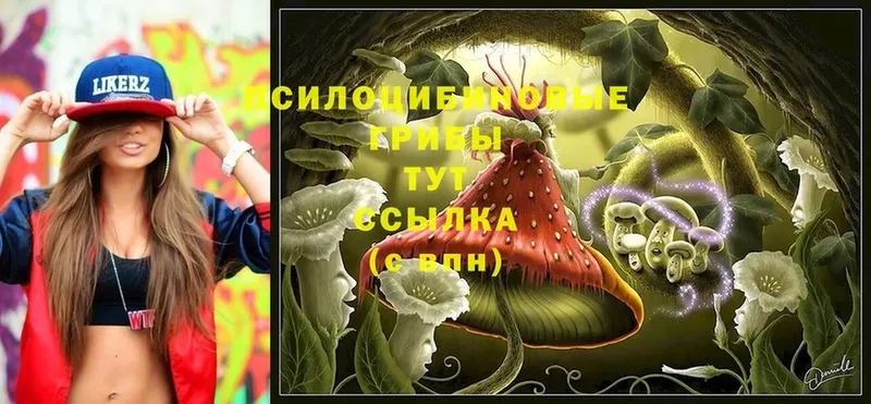 Галлюциногенные грибы ЛСД  Куса 